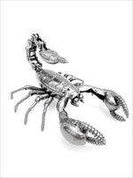 Insect - Scorpion