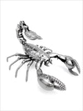 Insect - Scorpion