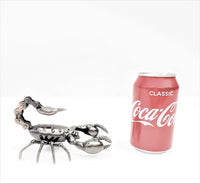 Insect - Scorpion