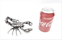 Insect - Scorpion