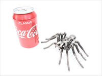 Insect - Spider