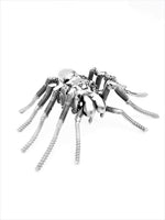Insect - Spider