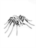 Insect - Spider