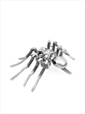 Insect - Spider