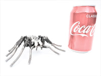 Insect - Spider