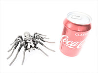 Insect - Spider